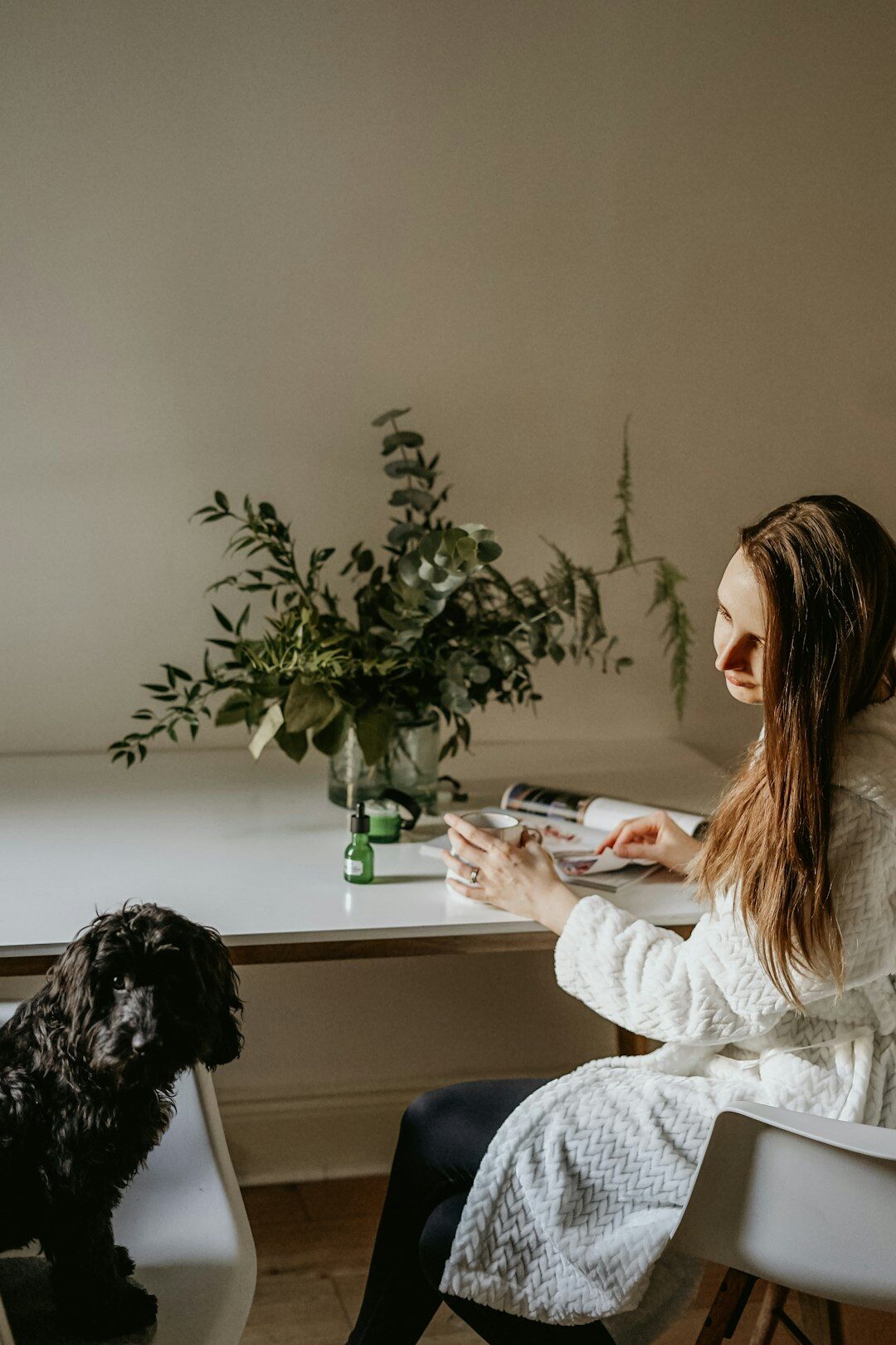 Croatian mystery writer working at a wooden desk with a dog nearby