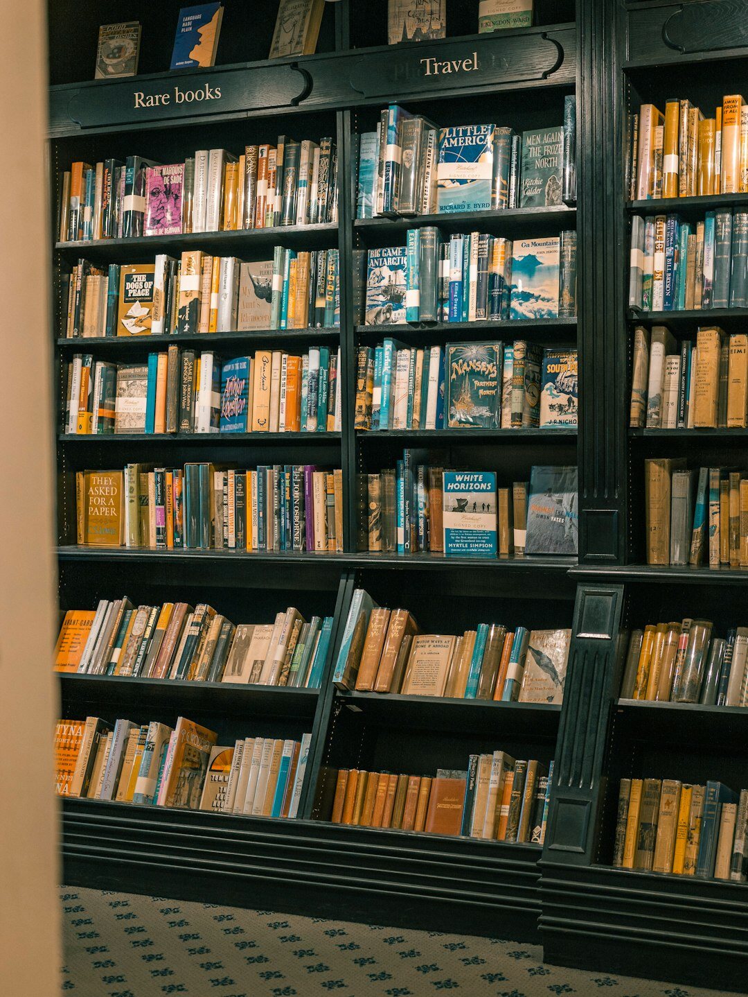 bookshelf with crime novels
